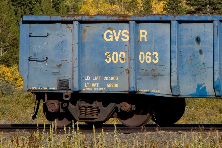 GVSR 300063